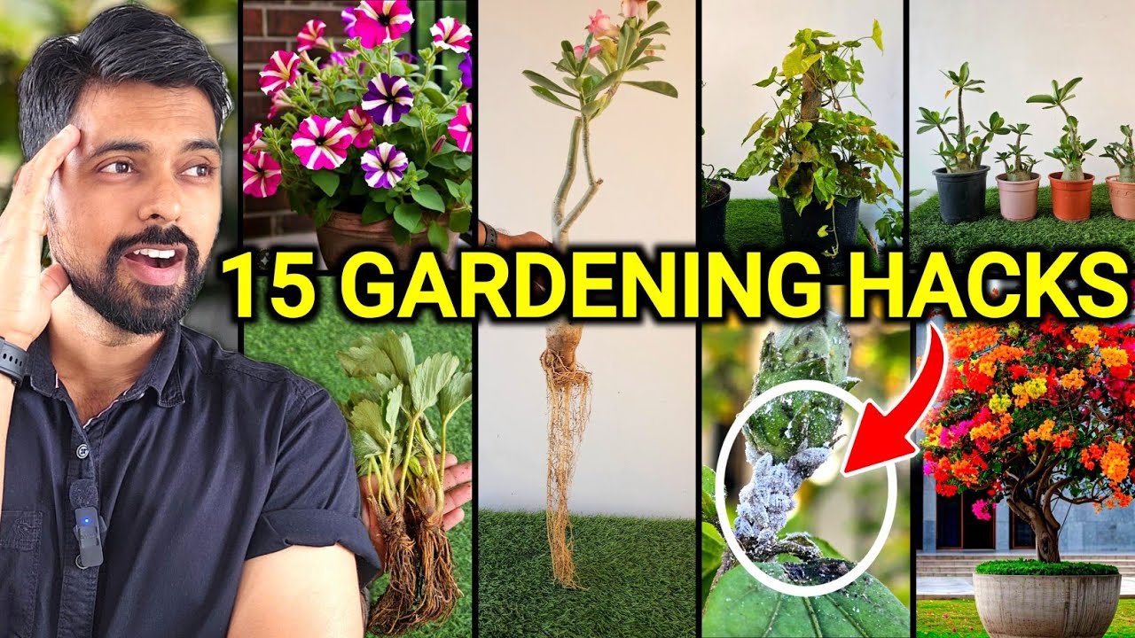 My 15 Gardening Hacks you must know | DIY Gardening ideas (Part-7)