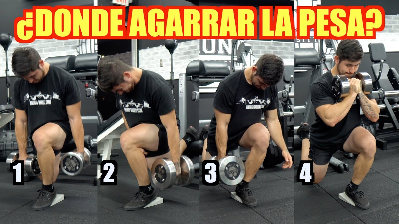 DONDE AGARRO LAS PESAS EN LA SENTADILLA BULGARA? [CUAL ES LA MEJOR]