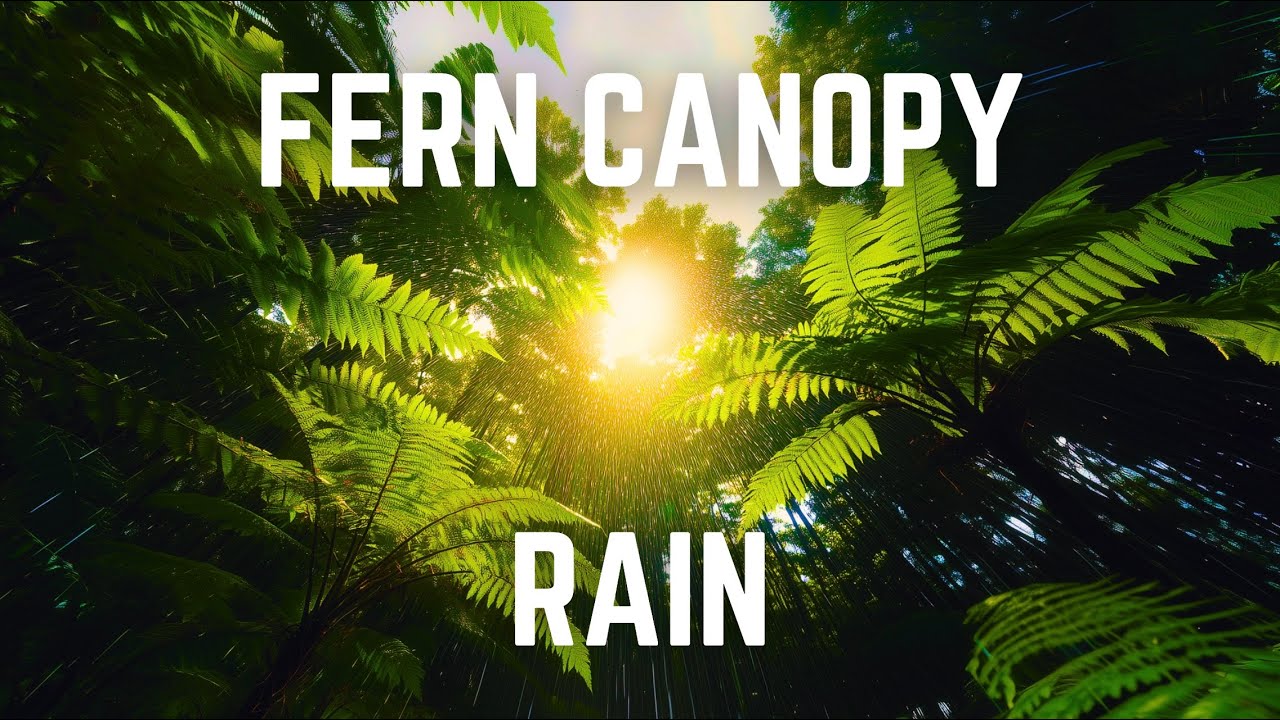 FERN CANOPY RAIN & Gentle Brown Noise | 12 Hrs | Black Screen | No Midway Ads | Relax/ Sleep/ Focus