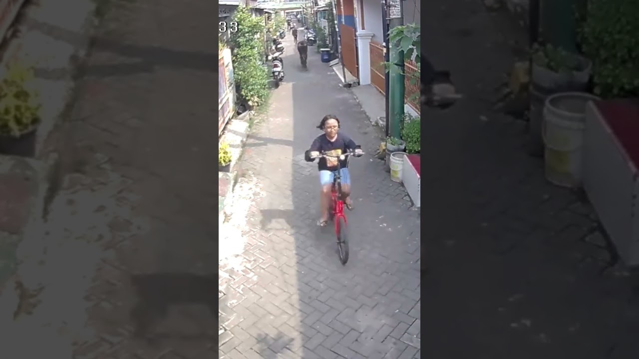 LARI DIKEJAR SAPI🤣 #viral #ngakak #iduladha #lucu