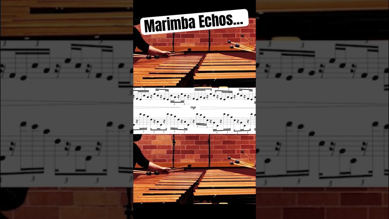 Palpitations #marimba duet. ❤️ wouldn&rsquo;t exactly call these splits&hellip; echos? #percussion #music