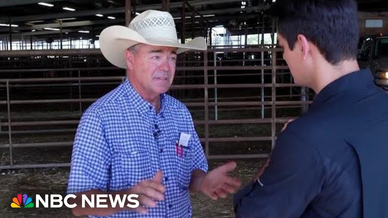 Trump's beef imports face backlash from Texas cattle ranchers