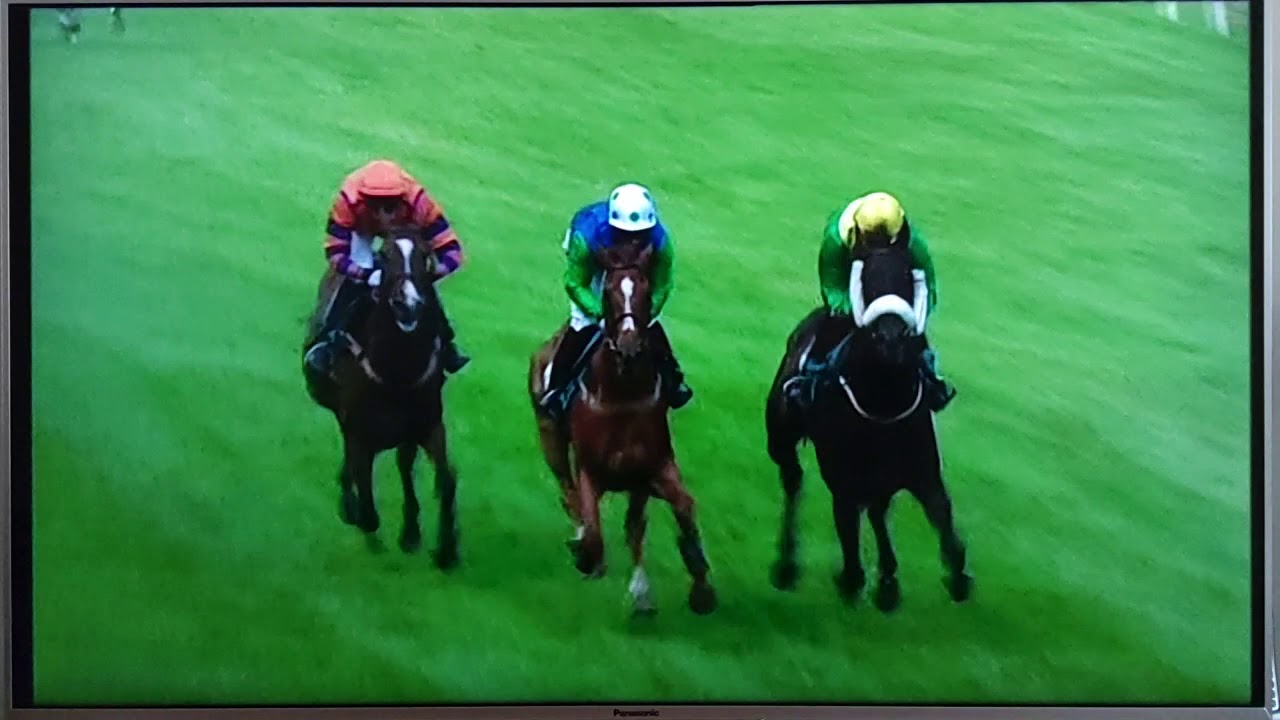 2 - CARTMEL Who's Counting Calories Chase