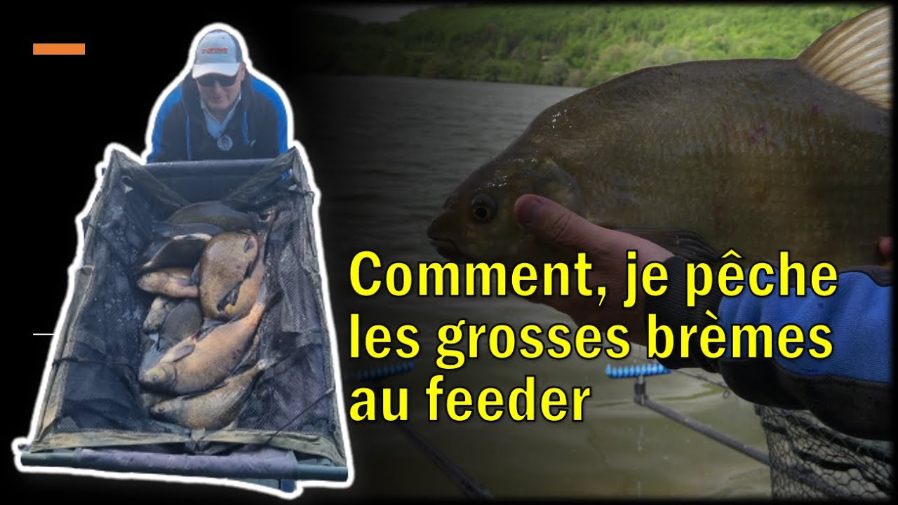 🎥🎞comment, je pêche les grosses brèmes 🤟💪