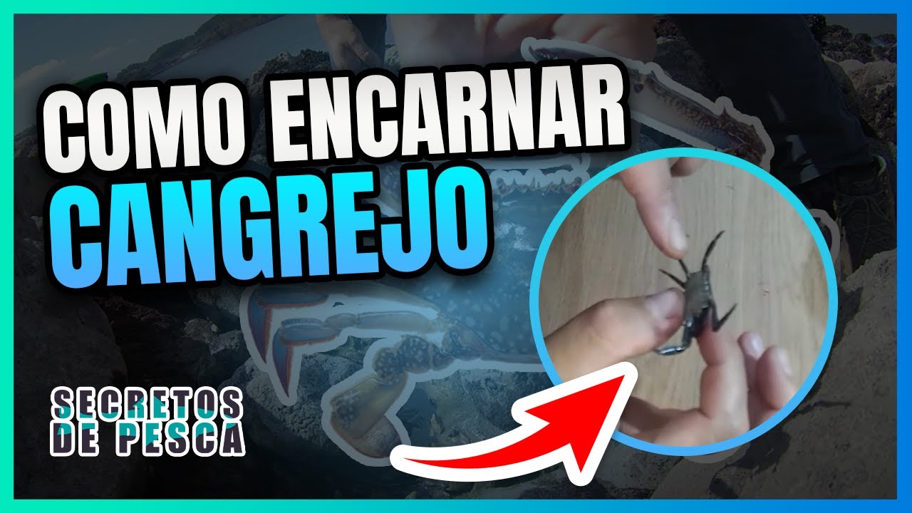 Cebo de Cebo para los SARGOS ( 3 formas distintas de anzuelar)👌