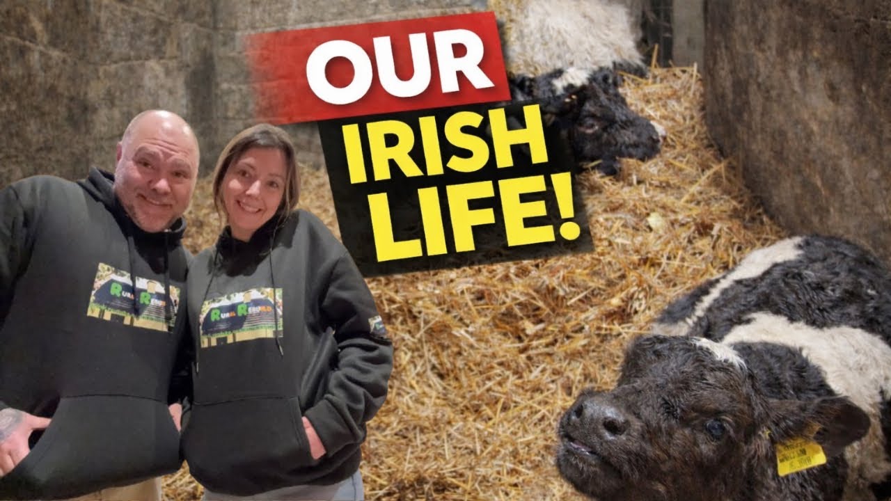 Building our life In Ireland 🇮🇪 