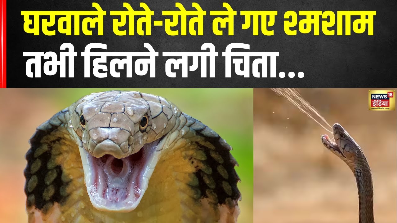 Snake bite Akhnoor : विजय को सांप ने काटा, घरवाले रोते-रोते ले गए श्मशाम, तभी हिलने लगी चिता