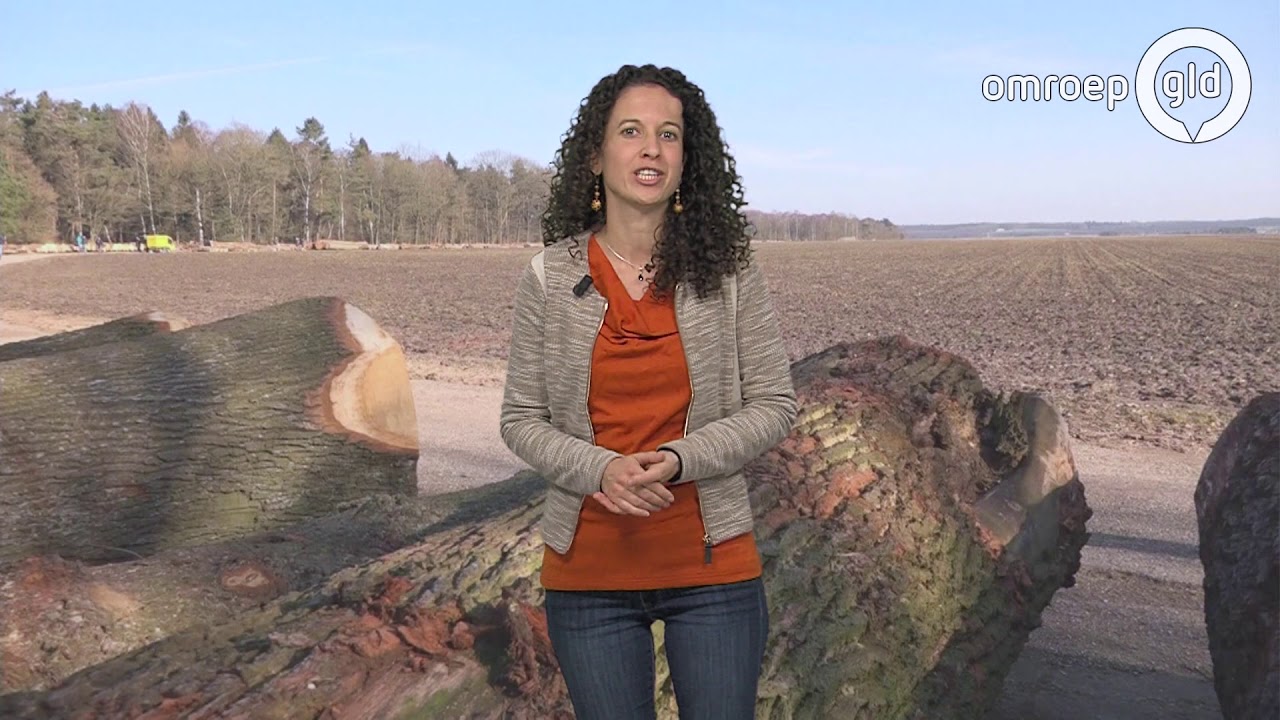 'Nergens is het zo koud als in Schaarsbergen'