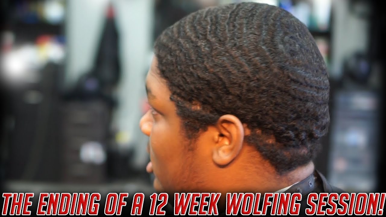 12 Week Wolf Session Comes to an End!