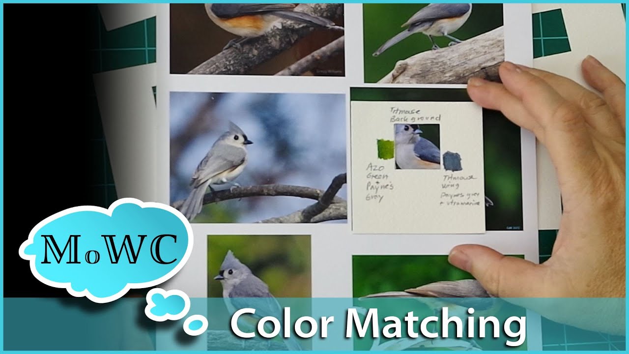 How to Match Colors and Values in Watercolor