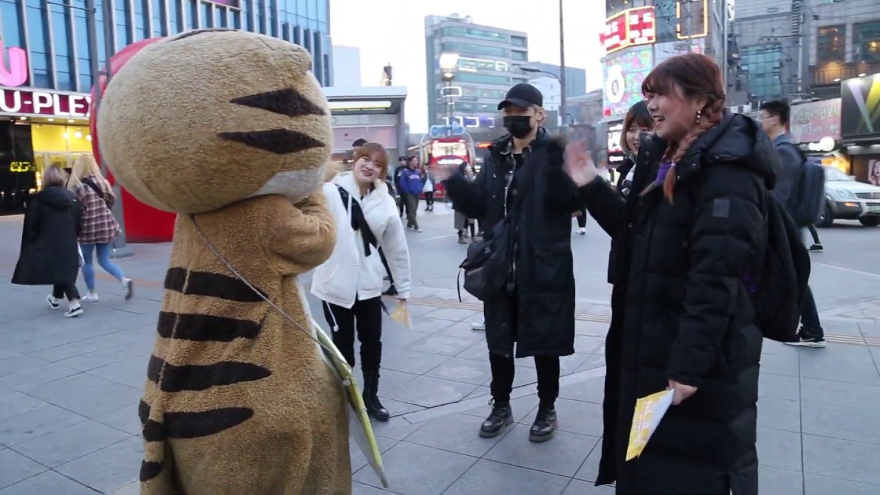 JHKTV] 신촌 명물고양이와 함께춤을 shin chon  special with cat dance