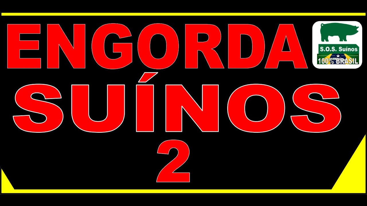 SUINOCULTURA: SOS SUÍNOS - ENGORDA DE SUINOS 2