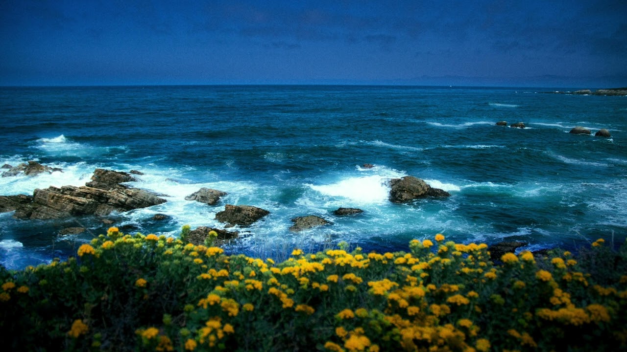 Wisp — slowed & muffled playlist