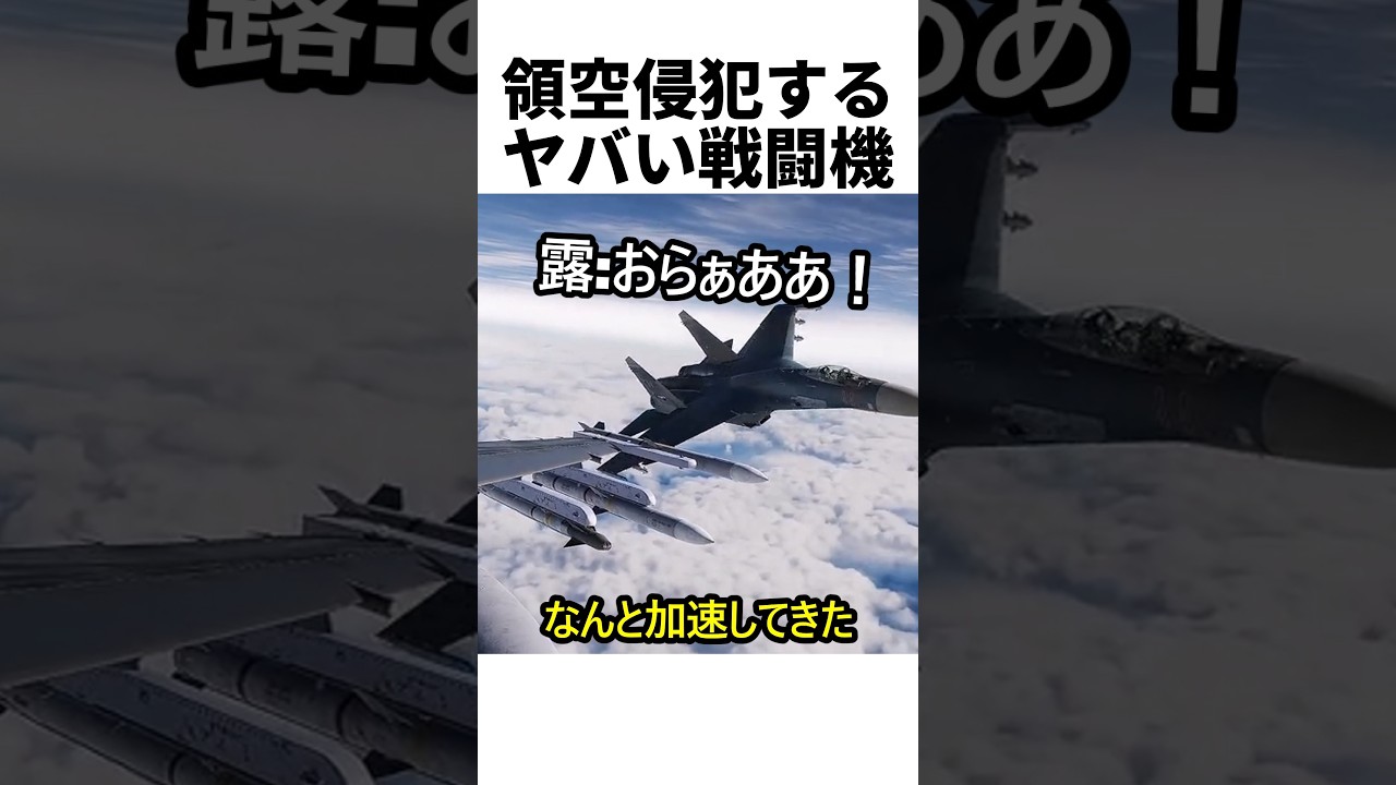 領空侵犯するヤバい戦闘機