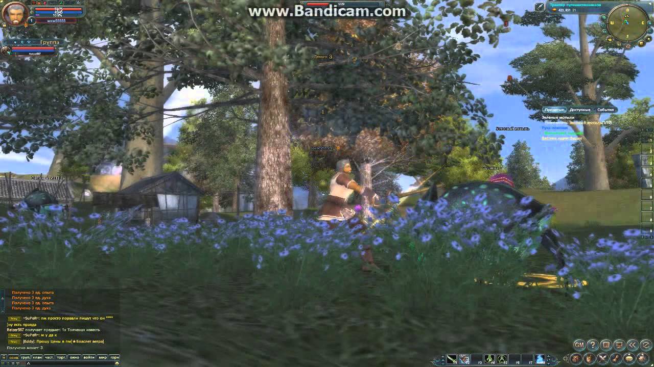 playing brothers (Perfect world) обзор рас : человек