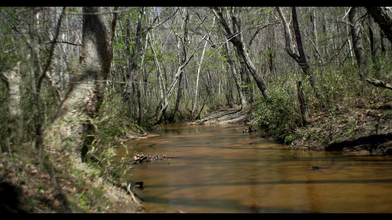 SPRING CREEK FARM | 242.36 Acres | Hancock County, GA | LandMart.com