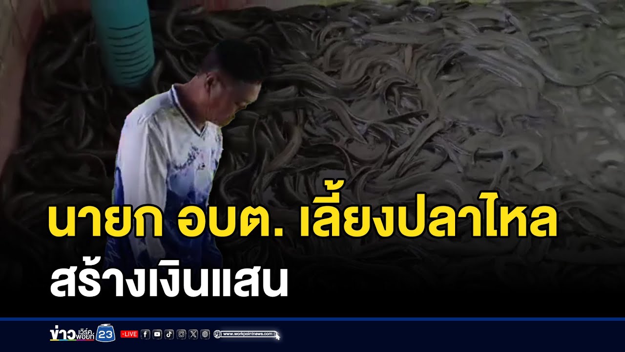 นายก อบต. เลี้ยงปลาไหลสร้างเงินแสน l ตลาดข่าว - ข่าวเช้าเวิร์คพอยท์ l 30 ส.ค.68