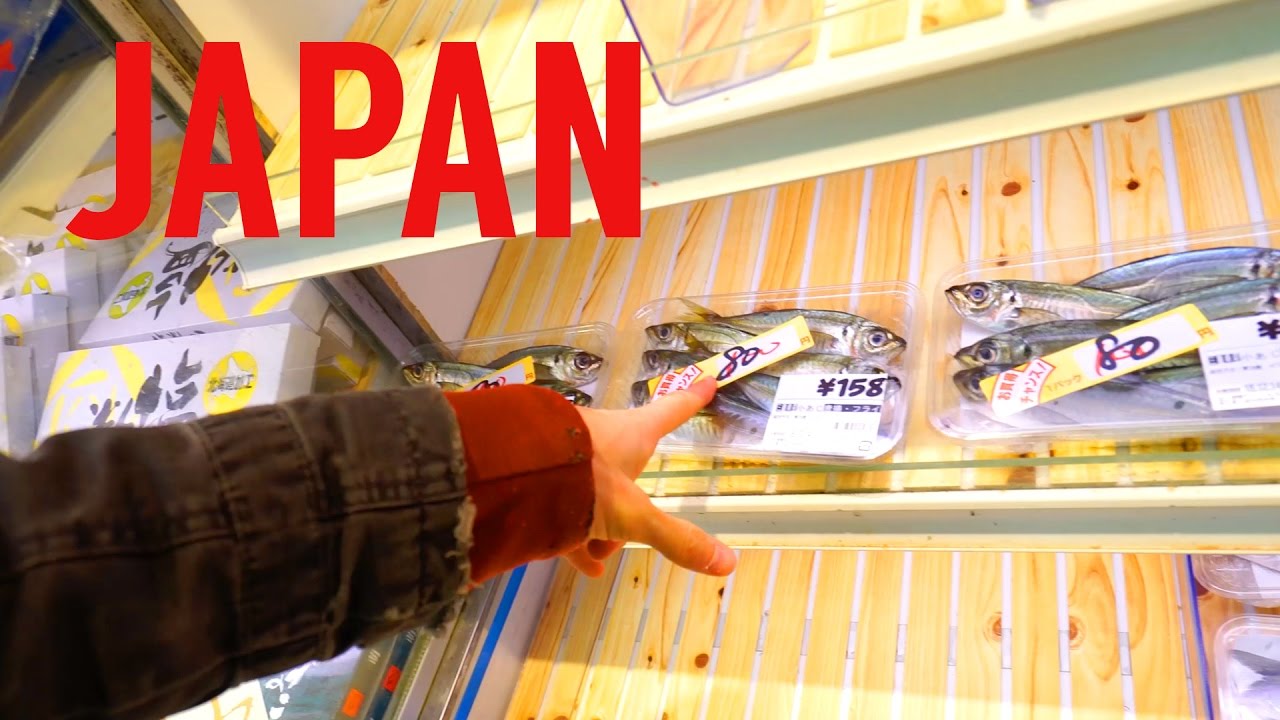 Return to Japan Vlog Day 6 // Hiking Preparations