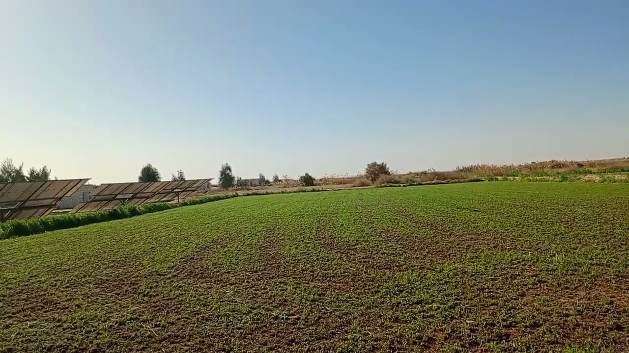 الوادي الجديد الفرافرة عاوز ارض تمليك فيها كهربا ٠١١٢٢٤٧٤١٨٩