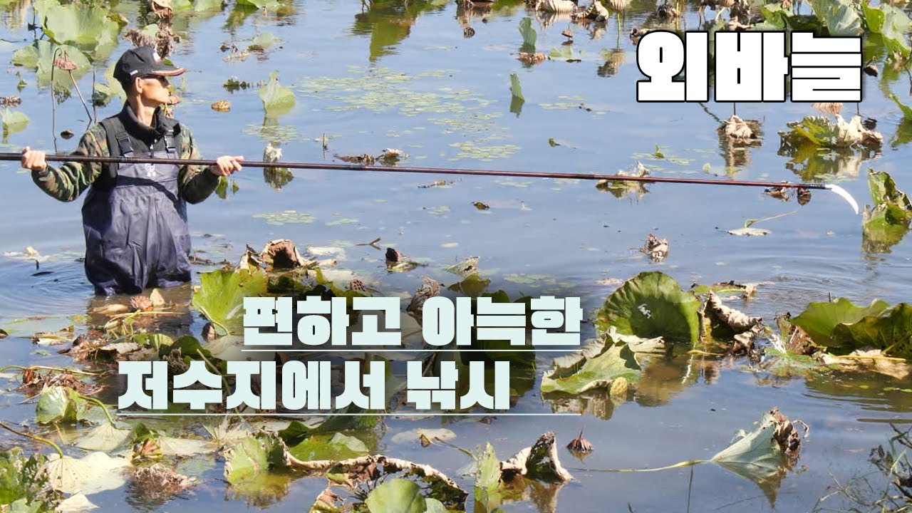 외바늘-작업의 정석 연밭 편