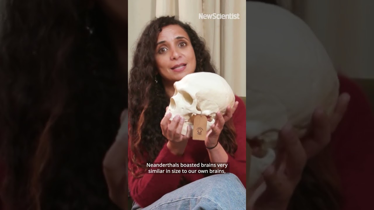 Кем были неандертальцы и каково было жить бок о бок с ними? 💀