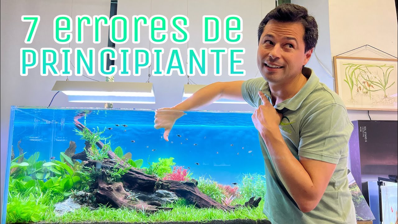 7 errores de principiante que podrías estar cometiendo en tu Acuario