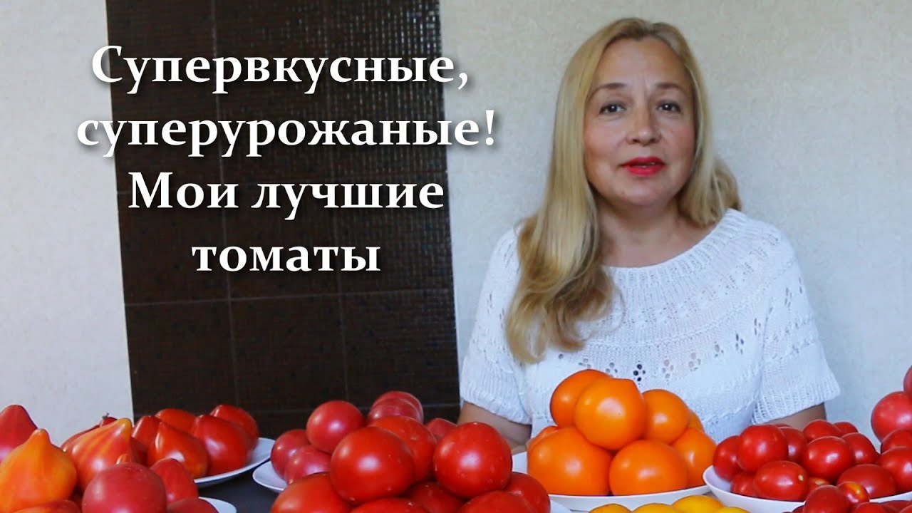 Что-то больше чем просто помидоры! Cамые урожайные томаты лучшие сорта и гибриды в этом сезоне
