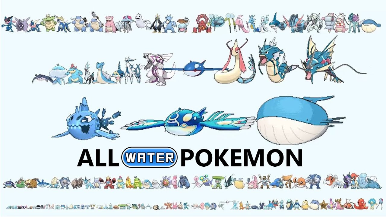 All WATER Pokemon From Smallest to Biggest 2020