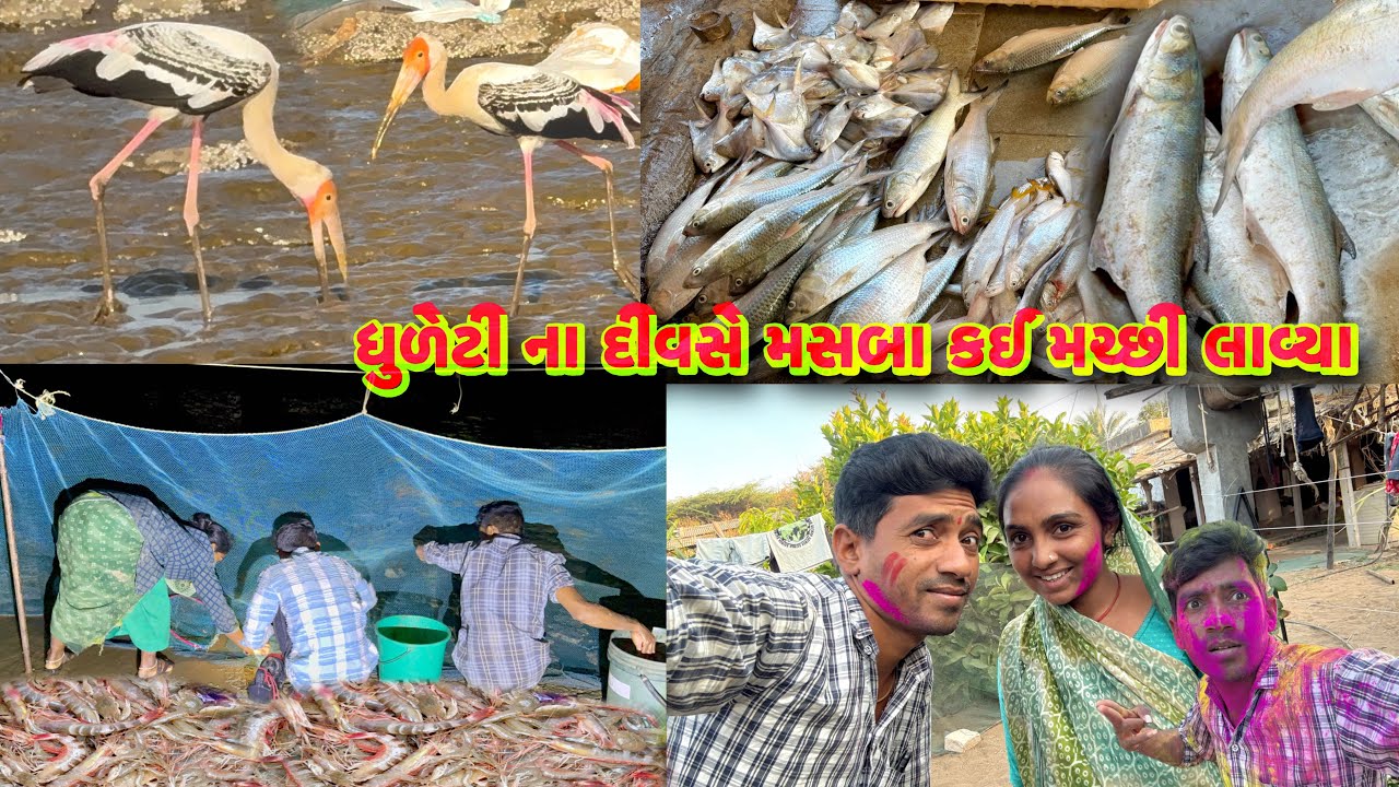 બધાય કરતા સારા મા સારી મચ્છી સેળવો 🐳 night jinga fishing 🎣🦐 dariyai khedut