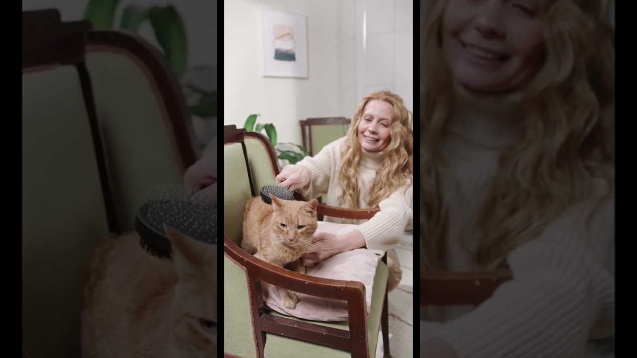 The Feline Grace