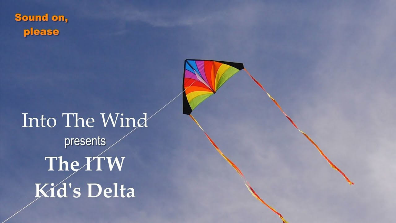 Into The Wind Kid's Delta Kite