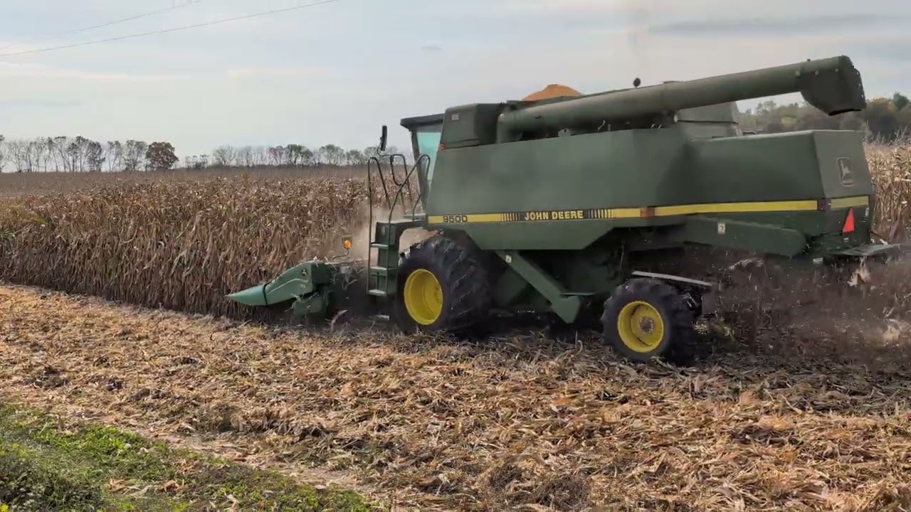 Уборка кукурузы на тракторе John Deere 9500 в 2025 году #harvestchaser