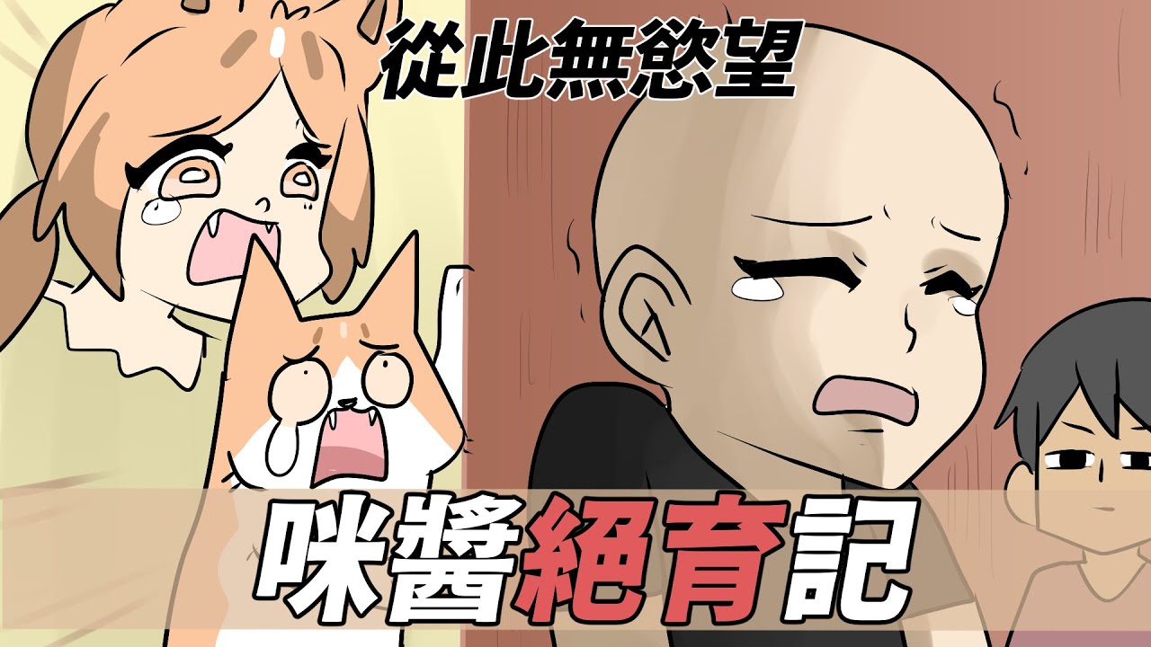 阿啾小劇場-咪醬絕育記！從此無慾望！｜貓奴全紀錄
