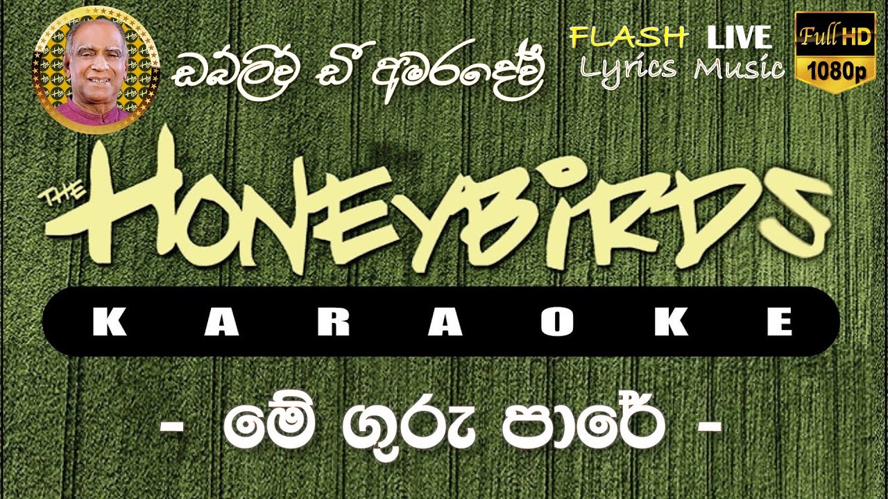 Me Guru Pare Karaoke (Without Voice) මේ ගුරු පාරේ කැරෝකේ