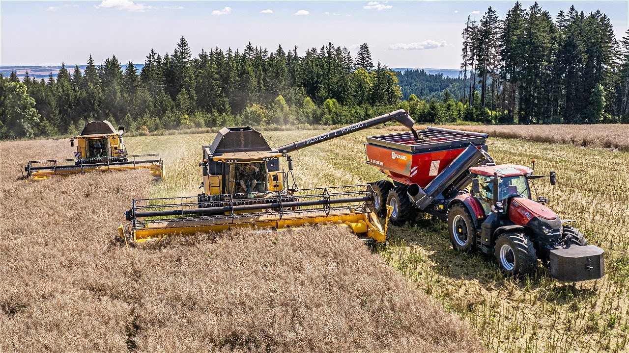 💛2x New Holland CX8.80🖤 & ❤️Case Optum 270 + Perard X-Flow 34❤️| Žně řepky 2024 |@harvestbrothers972