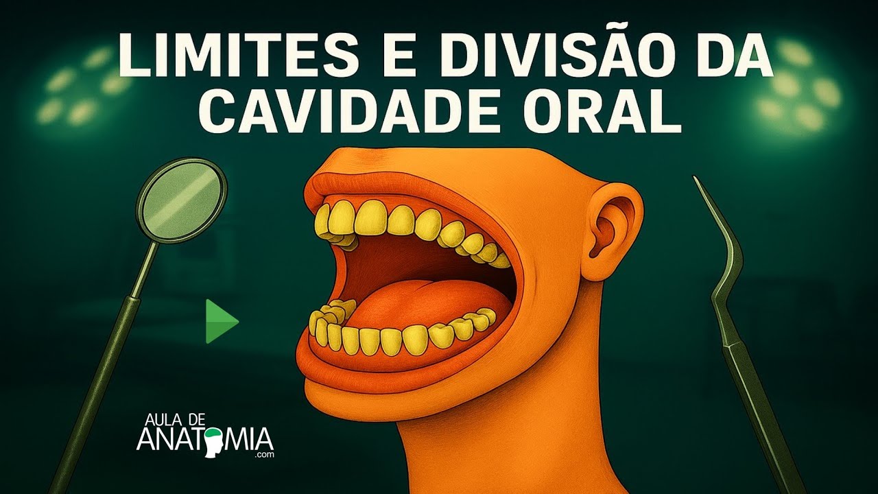 LIMITES E DIVIS&Atilde;O DA CAVIDADE ORAL #dentista #medicina #anatomy #anatomia #odontologia #corpohumano