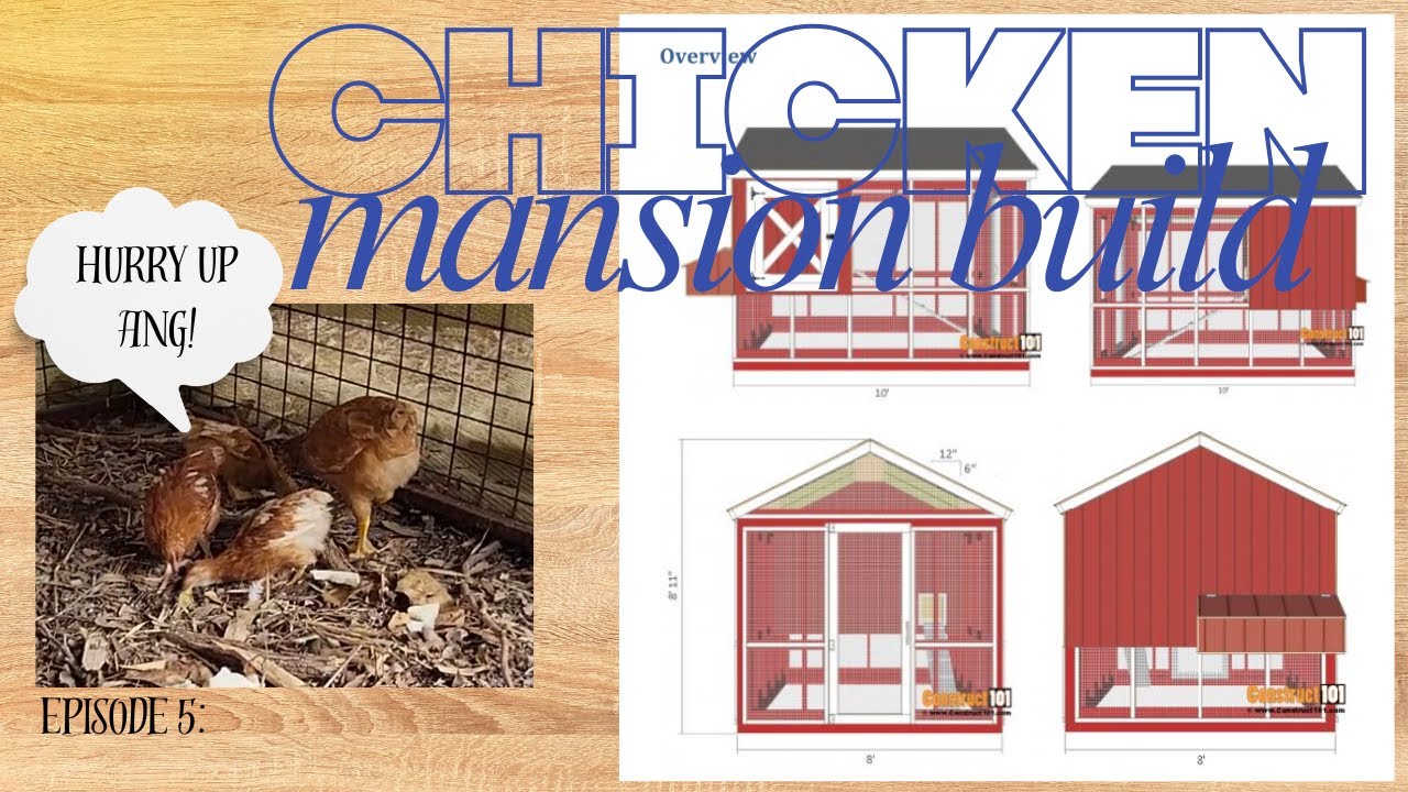 More Chicken Mansion Build Ep 5, but really LOTS of mitre saw cutting & MESS creating!!