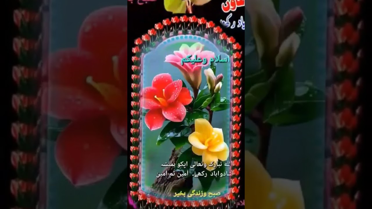 apny rub Kareem sy buht payyarei dowa manghn 