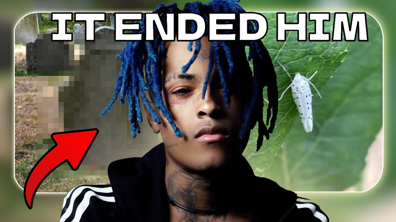 История мотылька XXXTentacion (вы не слышали)