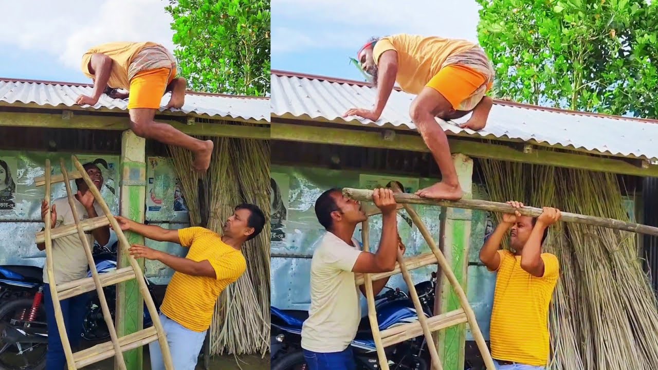 আমার মই নেয় কে