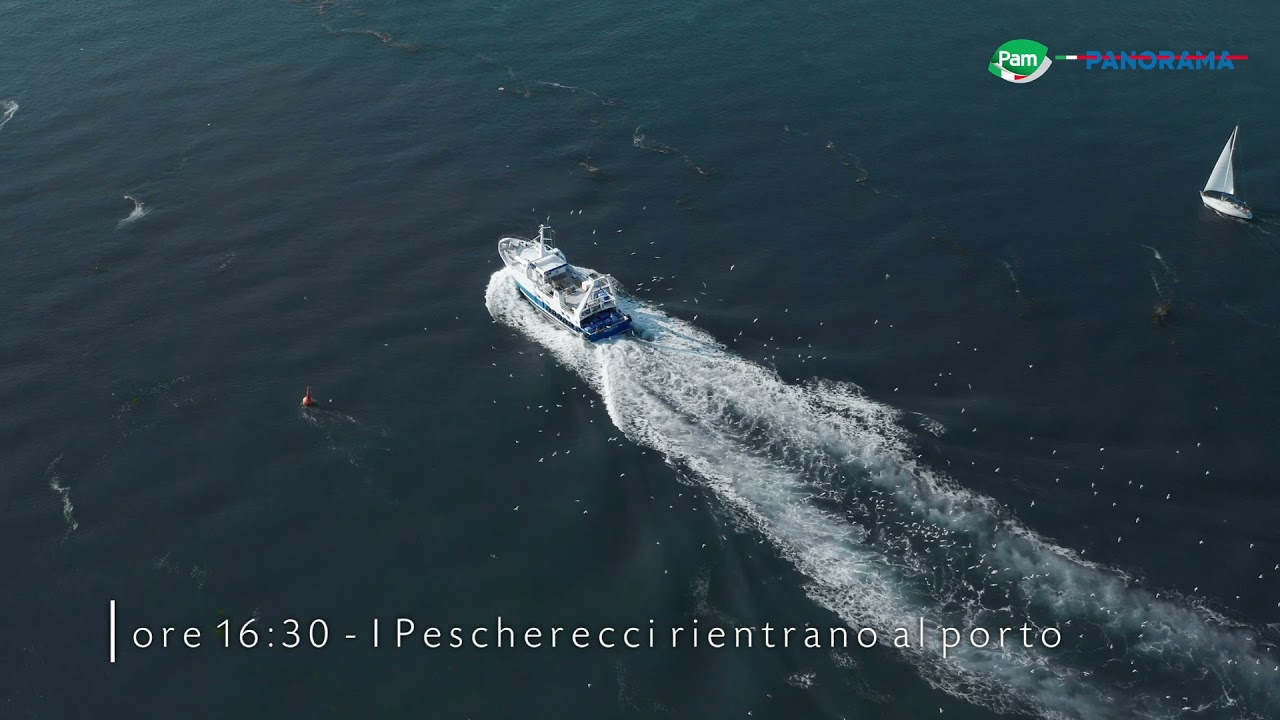 I pescherecci di Pam Panorama