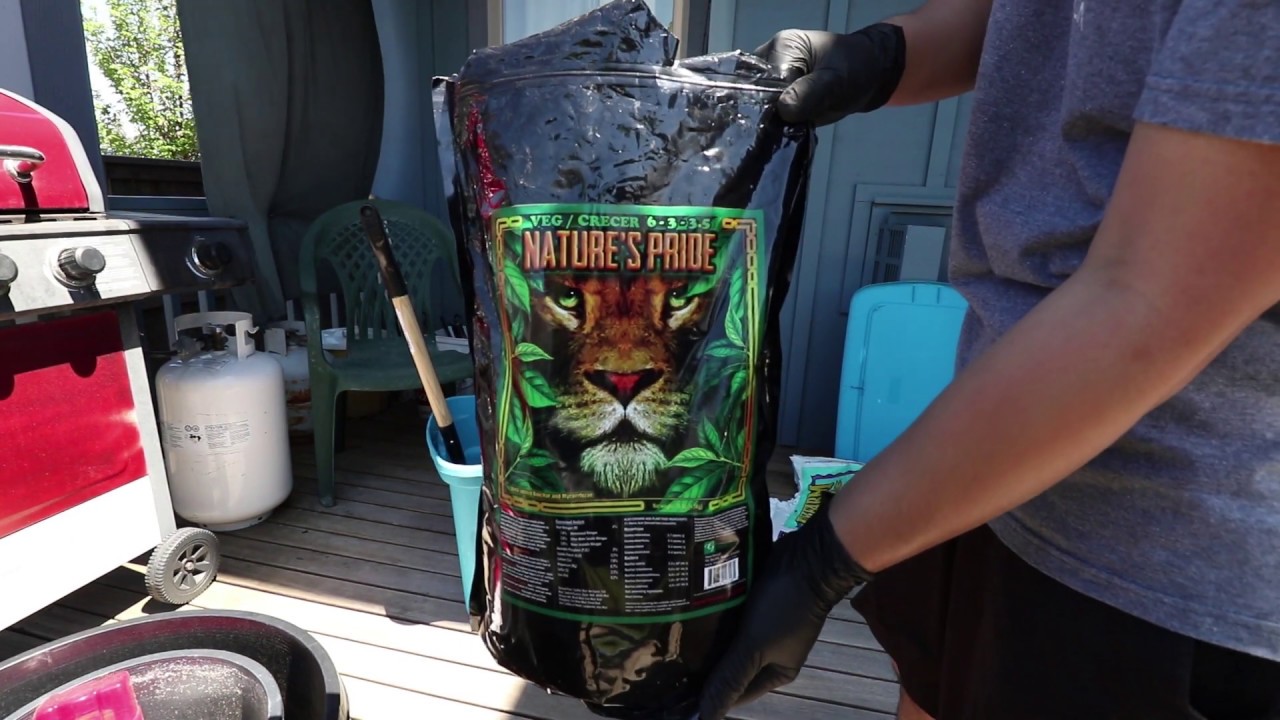 Outdoor Grow! Natures Pride Veg/EarthShine Transplant Day!