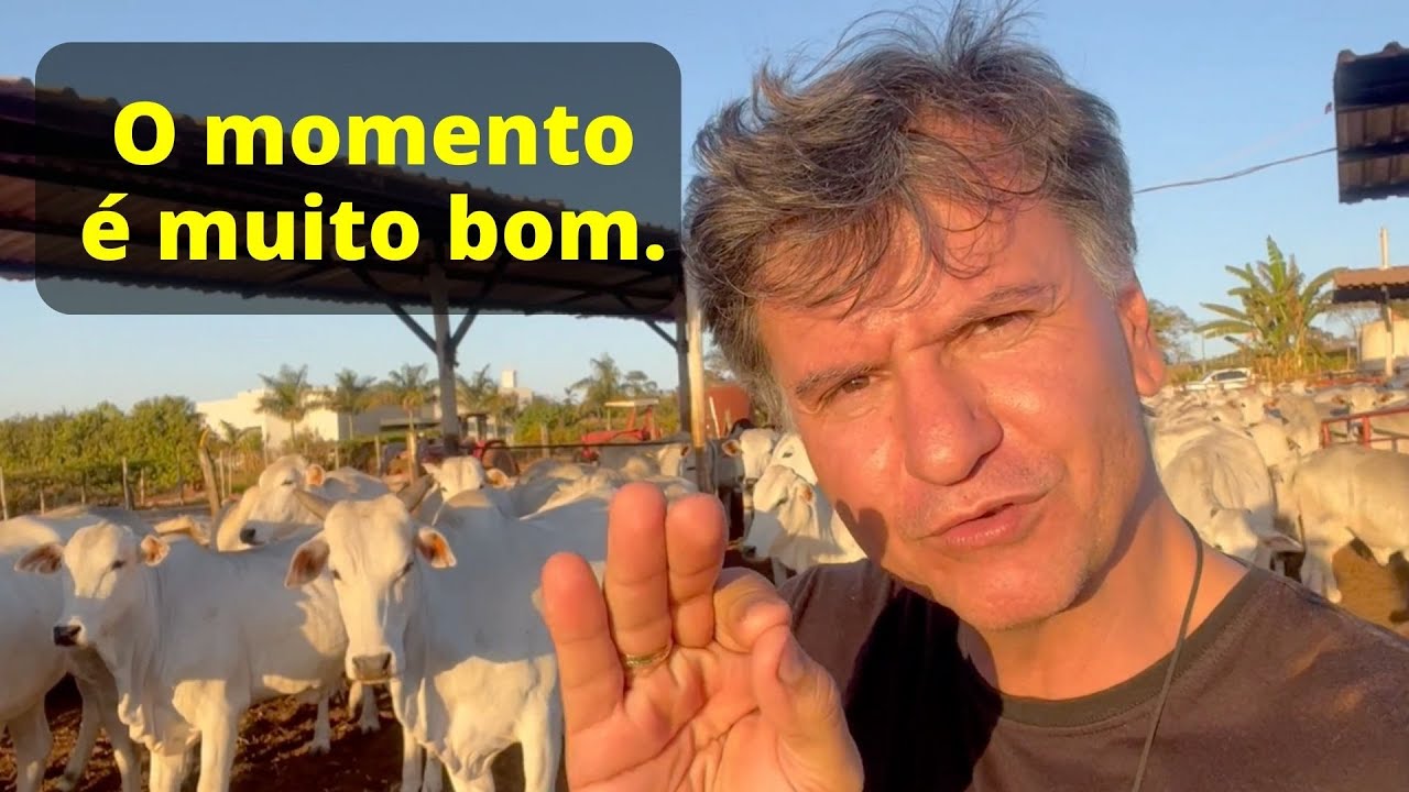 GANHA QUEM FOCA NA SOLUÇÃO💰