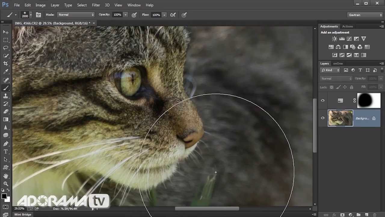 No Fences Ep 137: Take and Make Great Photos with Gavin Hoey: Adorama Photography TV