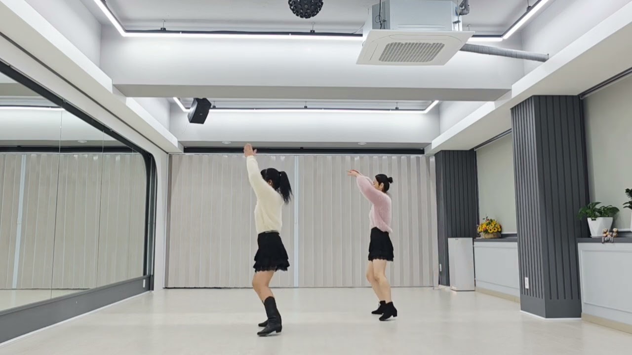 Disco Cone EZ  /  Level / Beginner