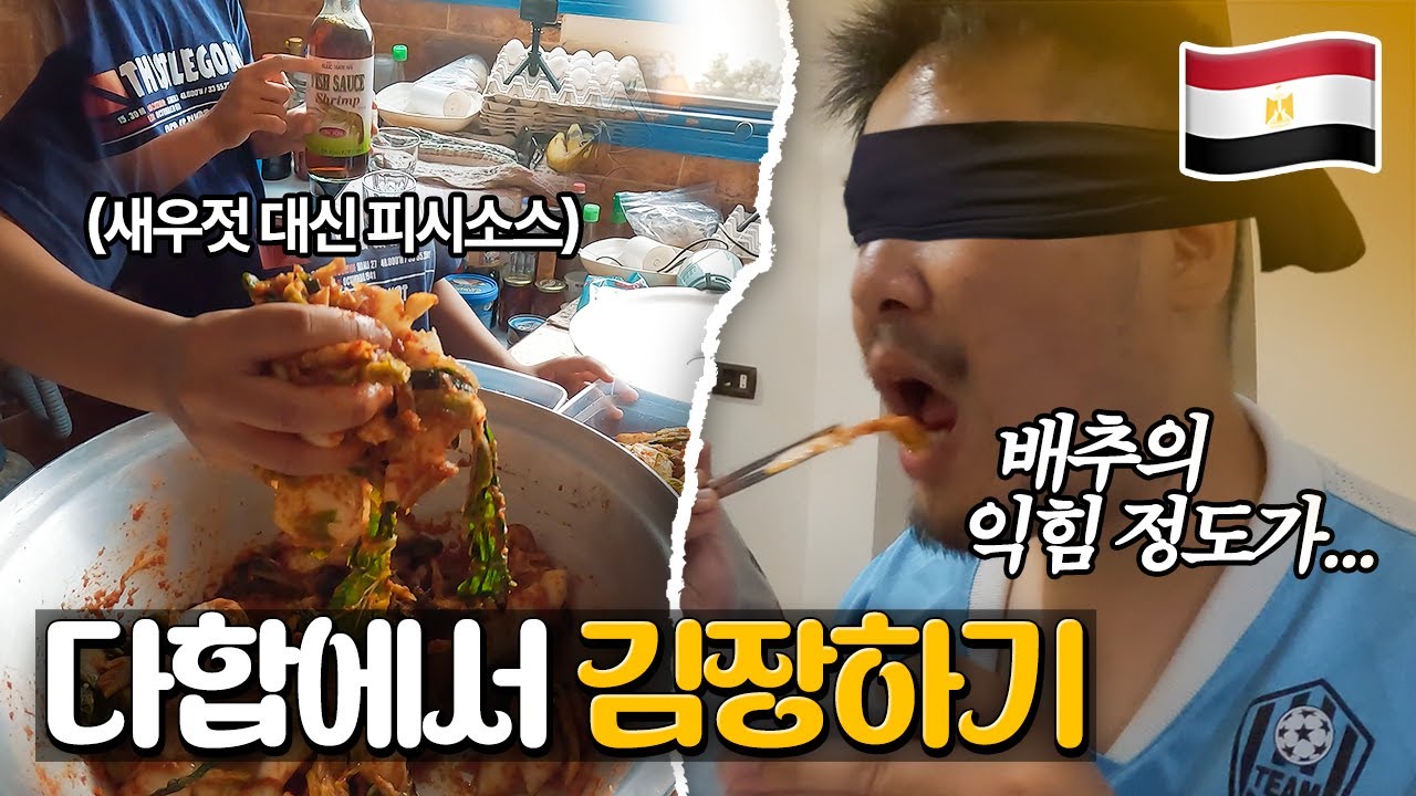 다합 쉐어하우스에서 한국인들이랑 김치 담그고 수영하기 (in 다린이 하우스) l 이집트[17]