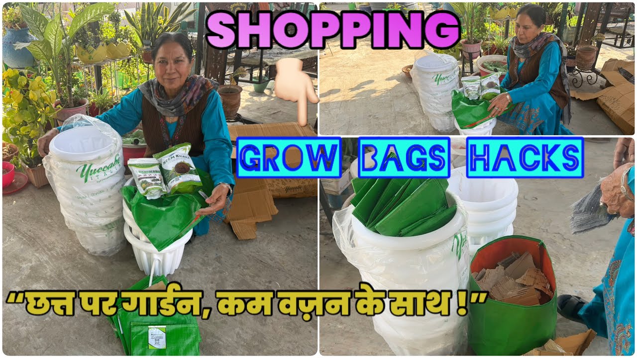 Gardening in Grow Bags | Terrace Gardeningideas | #growagarden #terrace@EnjoyGardeningwithKamaljeet 