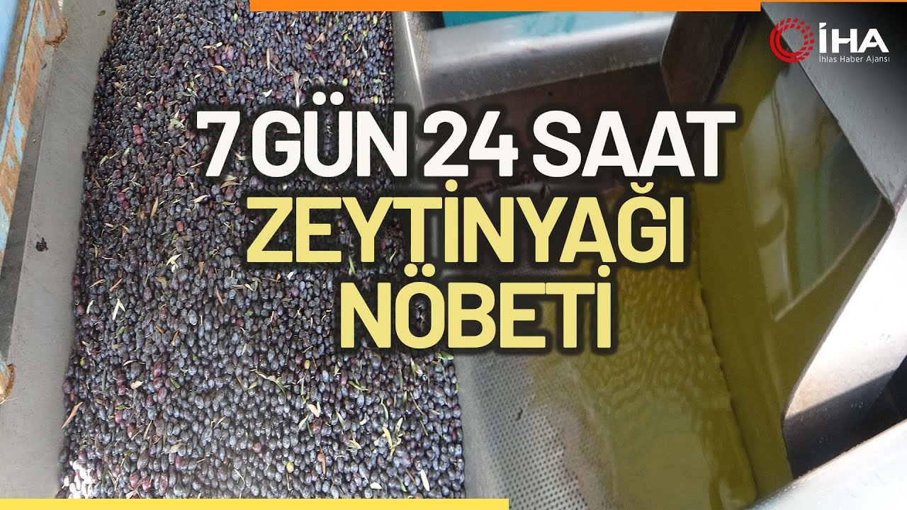 Muğla'daki Fabrikalarında 7 Gün 24 Saat Zeytinyağı Nöbeti