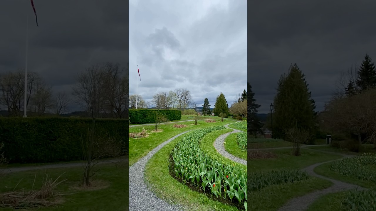 Norway spring vibes 🌼🌿💖🌹🍃🇳🇴 