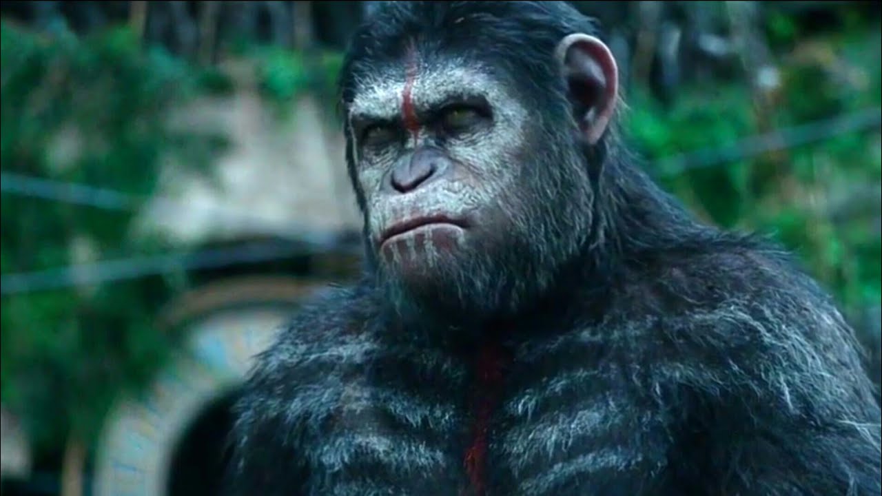 C&eacute;sar Fala Com os Humanos | Planeta dos Macacos 2: O Confronto (2014) DUBLADO HD